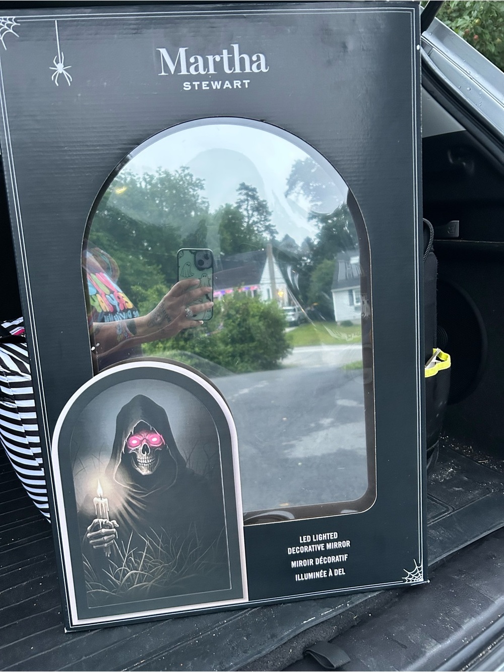 Martha Stewart Black LED Lighted Halloween Decorative Mirror